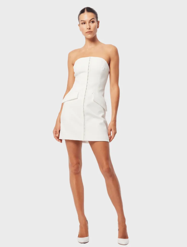 Linear Mini Dress -*Mossman Flash Sale