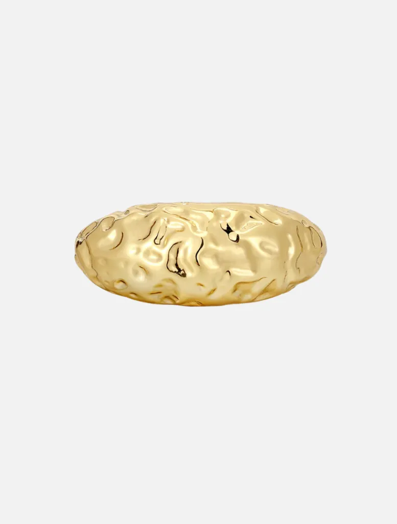 Molten Signet Ring -*LUV AJ Store